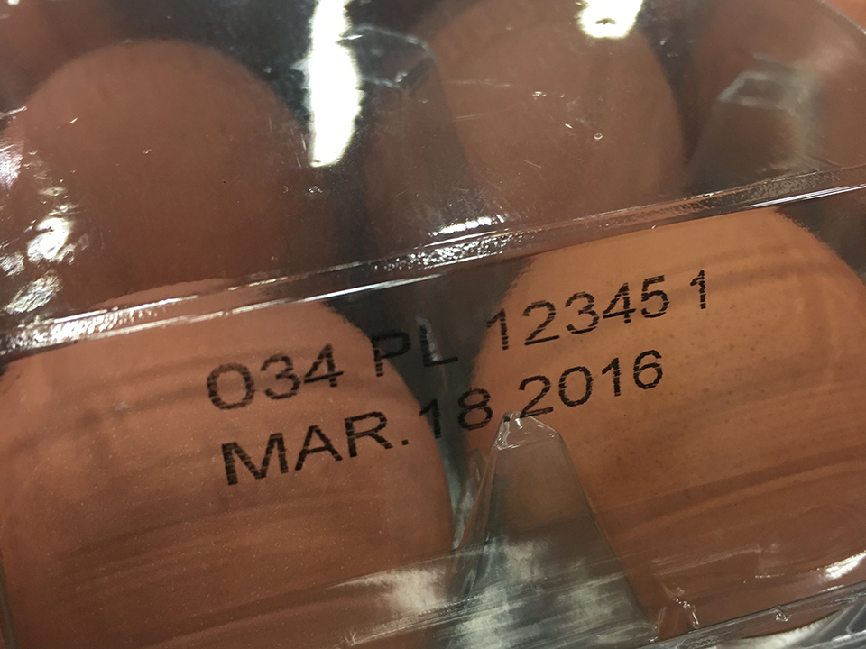 Print Sample Clear Egg Carton 2