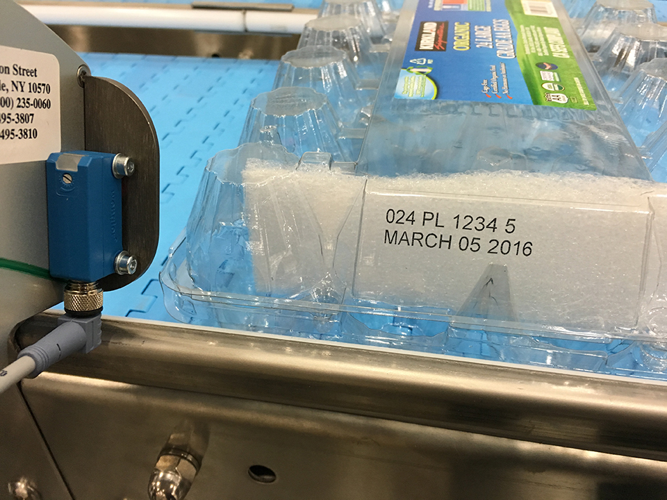 Print Sample Clear Egg Carton