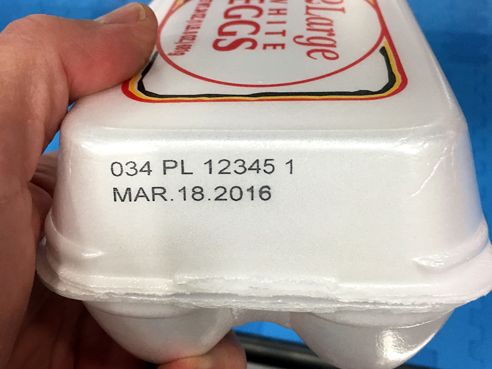 Print Sample Egg Carton